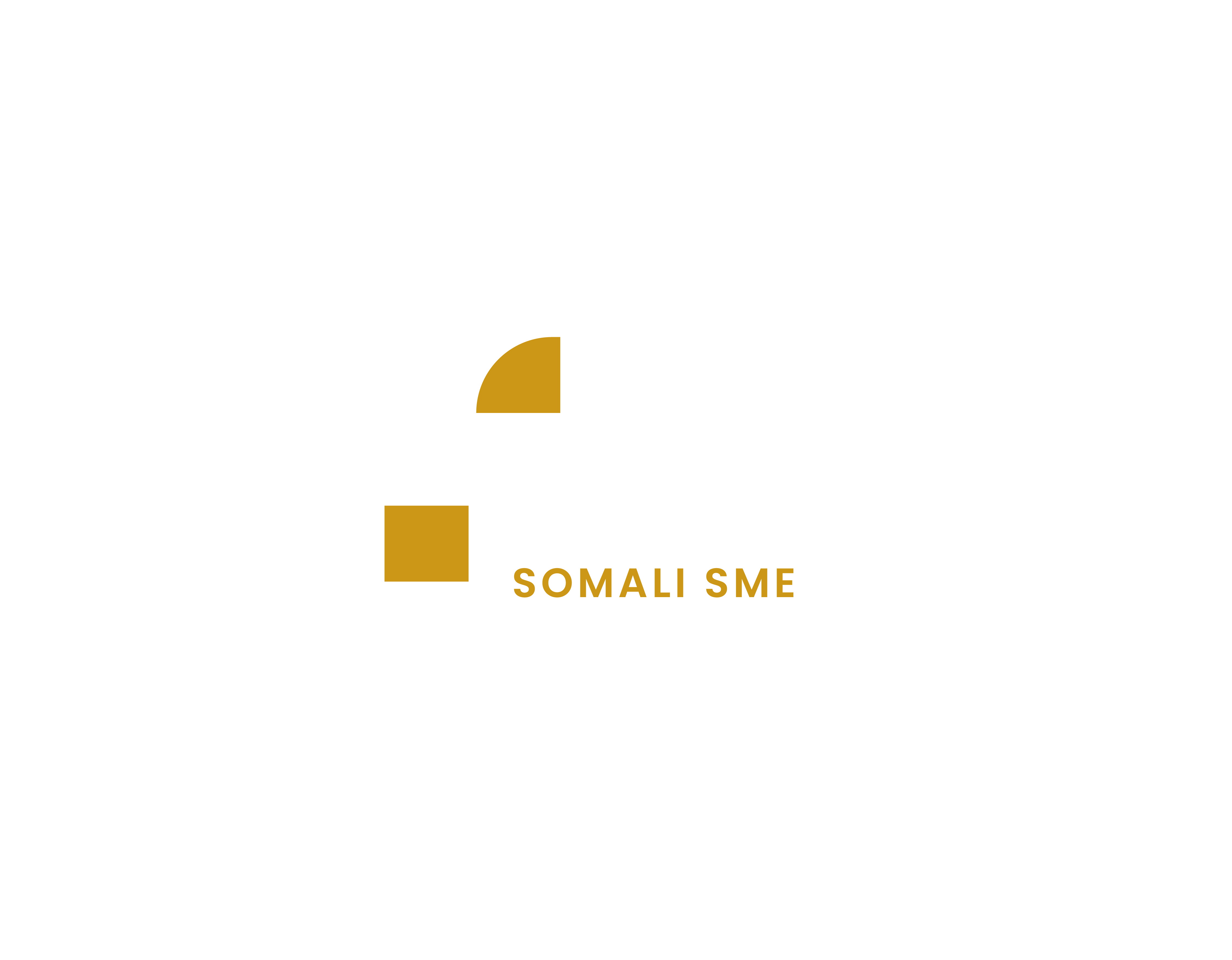 SSDI — Somali SME Development Institute